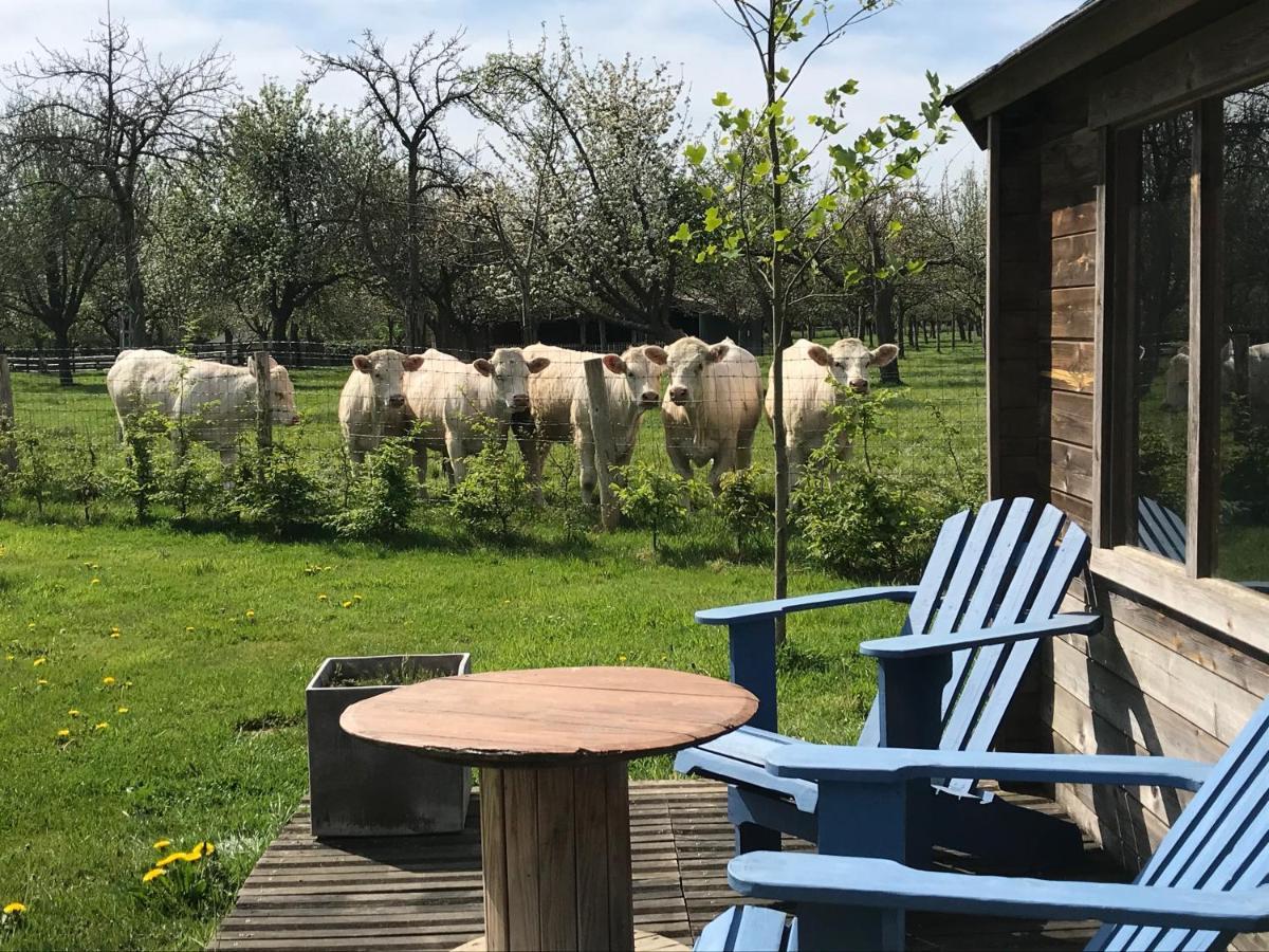 Gite "Cote Jardin" Vannecrocq Dış mekan fotoğraf